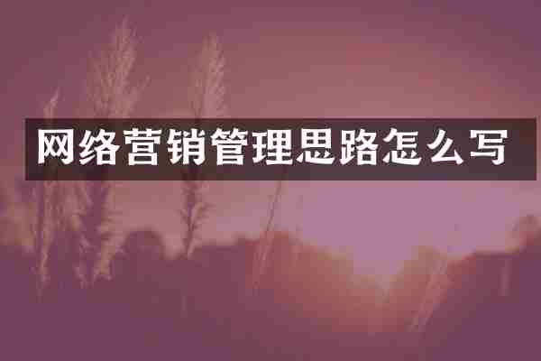 网络营销管理思路怎么写
