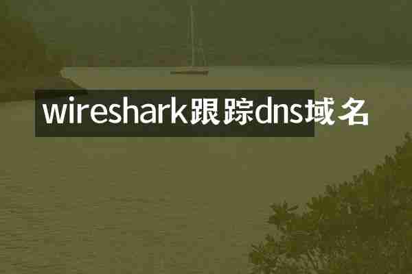 wireshark跟踪dns域名