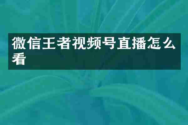 微信王者视频号直播怎么看