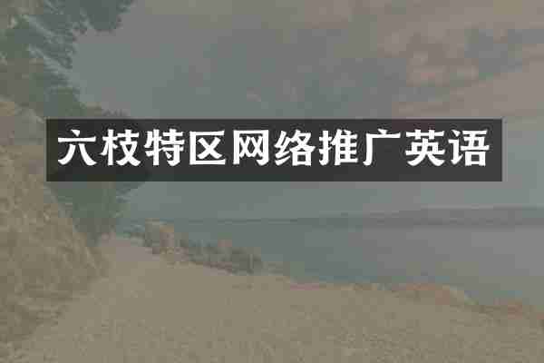 六枝特区网络推广英语