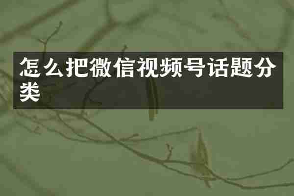 怎么把微信视频号话题分类