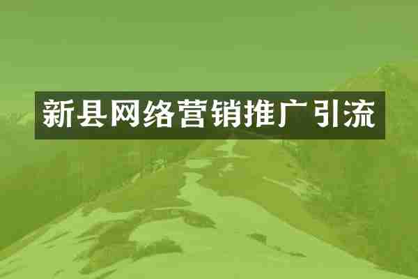 新县网络营销推广引流