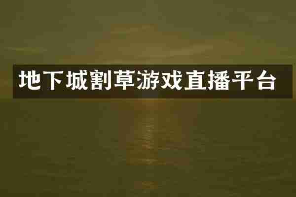 地下城割草游戏直播平台