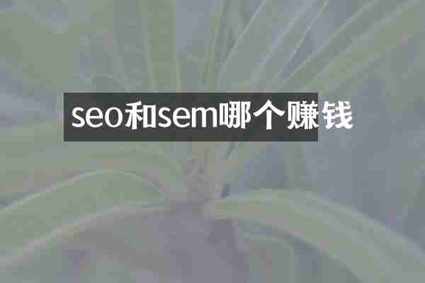 seo和sem哪个赚钱