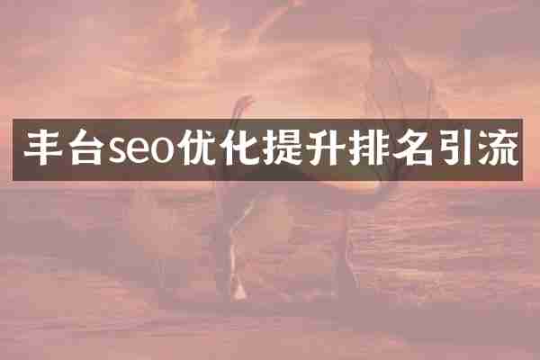 丰台seo优化提升排名引流