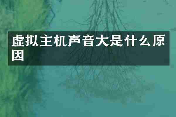 虚拟主机声音大是什么原因