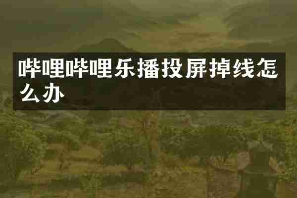 哔哩哔哩乐播投屏掉线怎么办