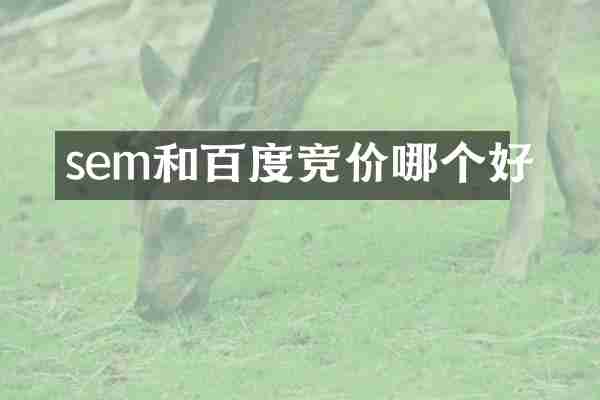 sem和百度竞价哪个好