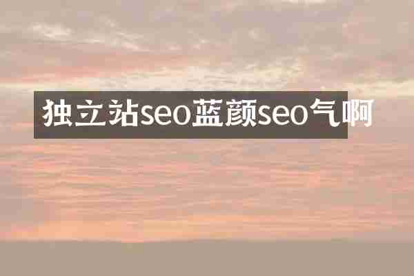 独立站seo蓝颜seo气啊