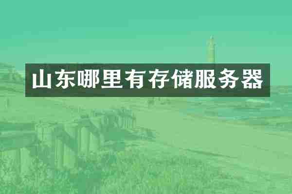 山东哪里有存储服务器
