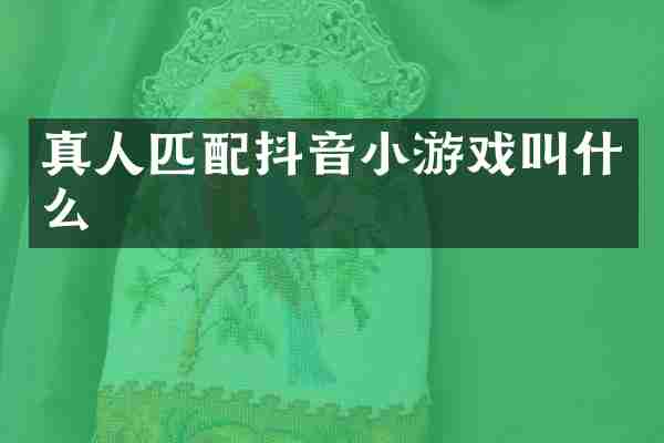 真人匹配抖音小游戏叫什么