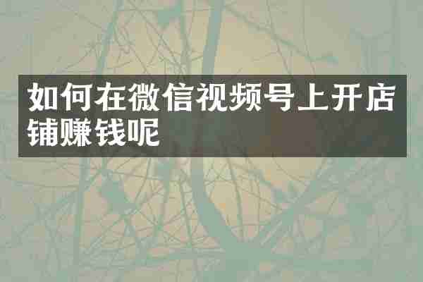 如何在微信视频号上开店铺赚钱呢