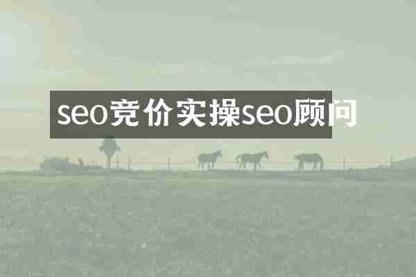 seo竞价实操seo顾问