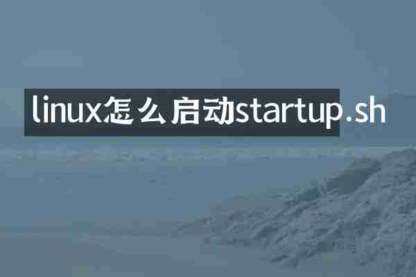 linux怎么启动startup.sh
