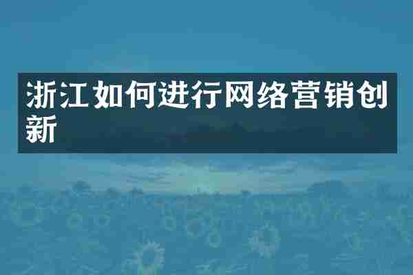 浙江如何进行网络营销创新