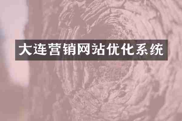 大连营销网站优化系统