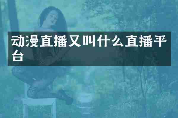 动漫直播又叫什么直播平台