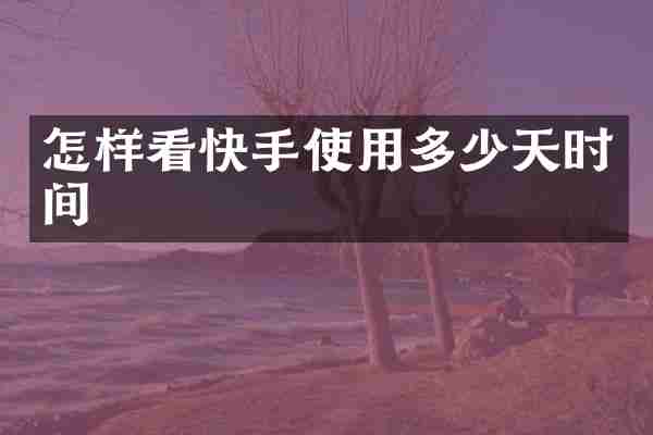 怎样看快手使用多少天时间