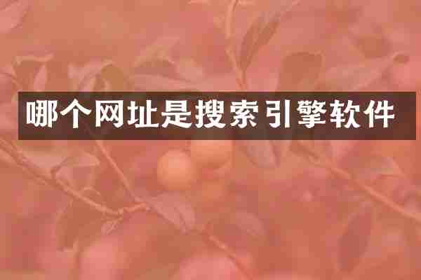 哪个网址是搜索引擎软件