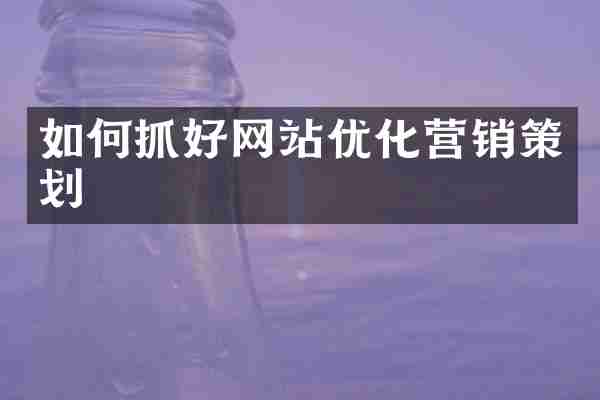 如何抓好网站优化营销策划
