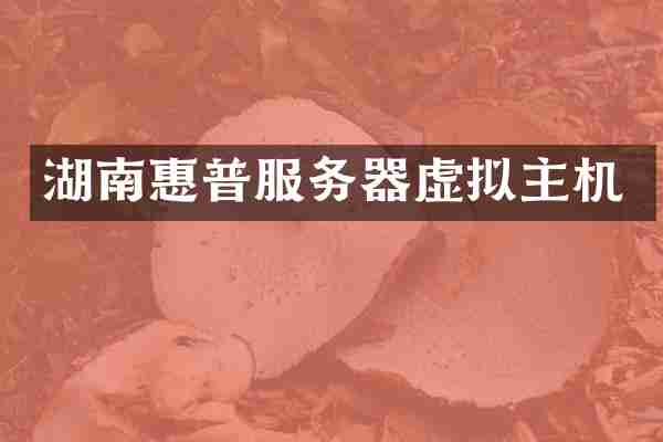 湖南惠普服务器虚拟主机