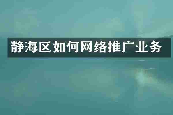 静海区如何网络推广业务
