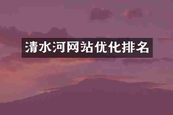 清水河网站优化排名