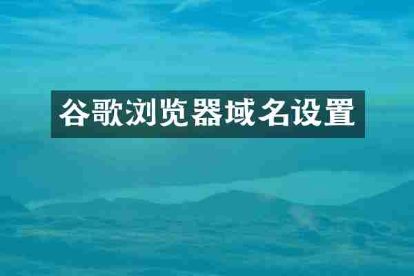 谷歌浏览器域名设置