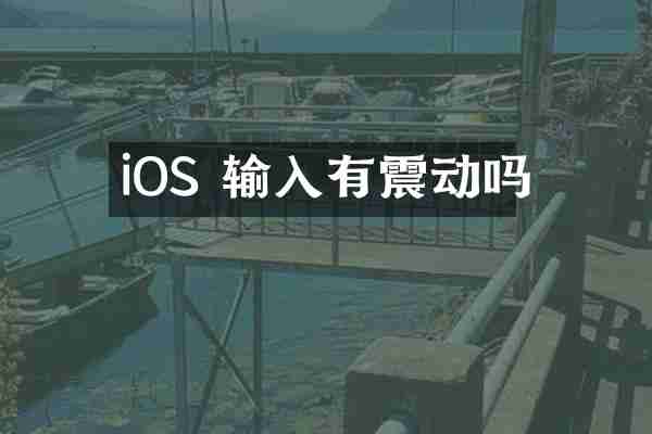 iOS 输入有震动吗