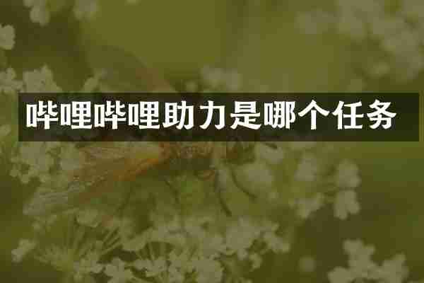 哔哩哔哩助力是哪个任务