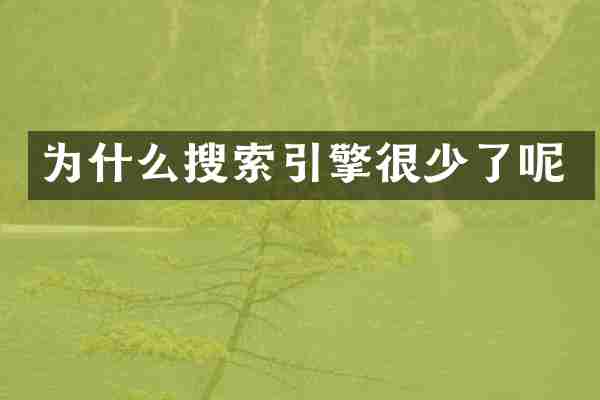 为什么搜索引擎很少了呢