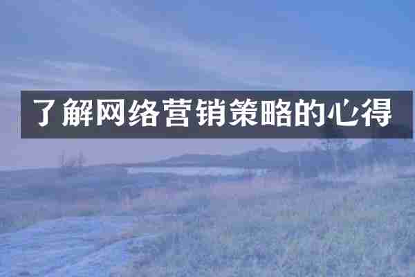 了解网络营销策略的心得