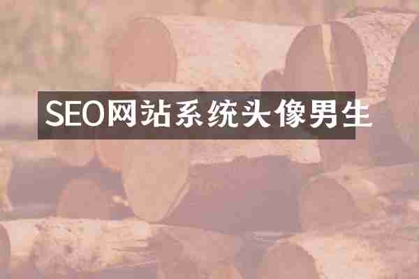 SEO网站系统头像男生