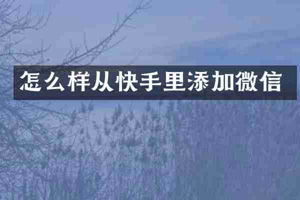 怎么样从快手里添加微信
