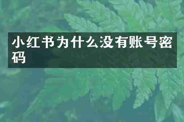 小红书为什么没有账号密码