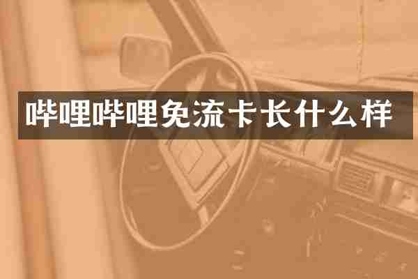 哔哩哔哩免流卡长什么样