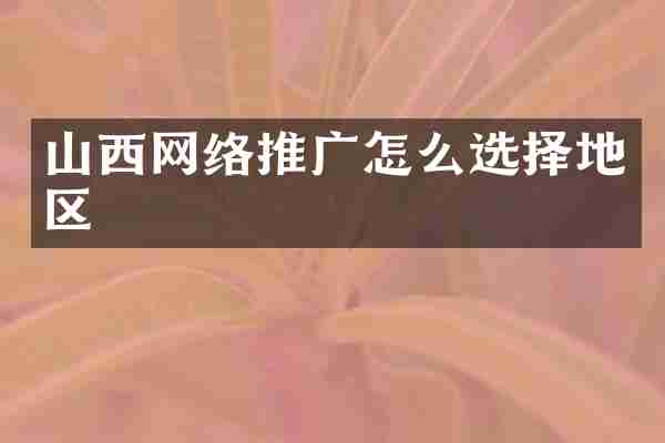 山西网络推广怎么选择地区