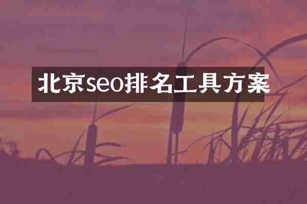 北京seo排名工具方案