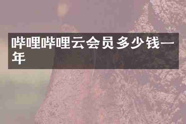 哔哩哔哩云会员多少钱一年