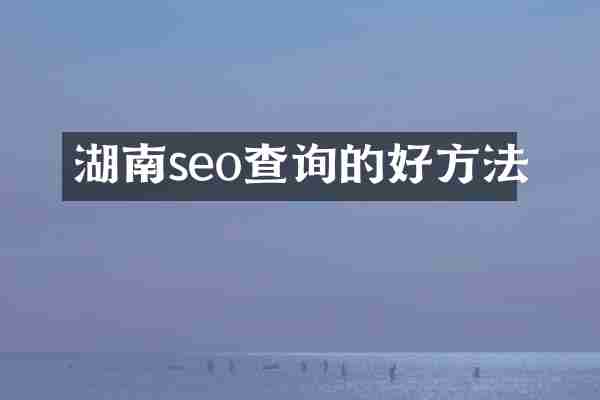 湖南seo查询的好方法