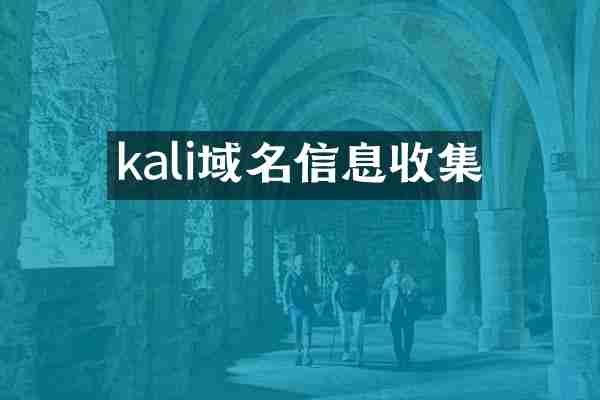 kali域名信息收集
