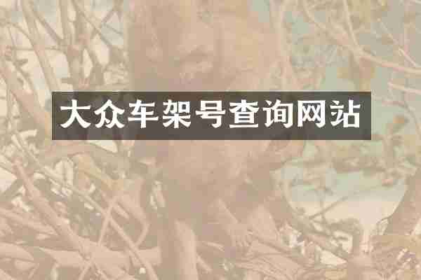 大众车架号查询网站