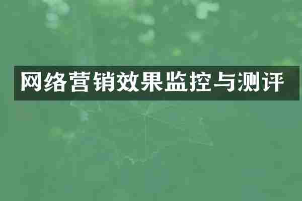 网络营销效果监控与测评