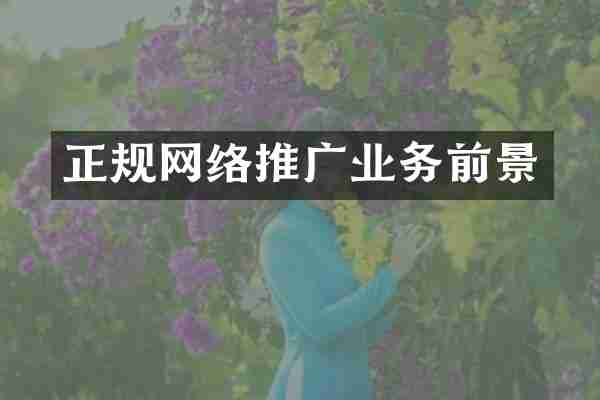 正规网络推广业务前景