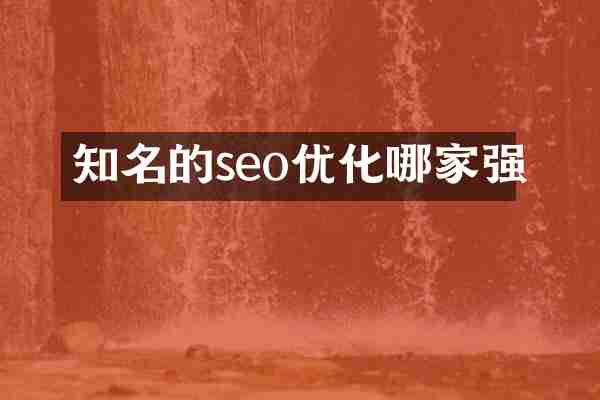 知名的seo优化哪家强