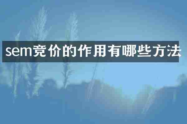 sem竞价的作用有哪些方法