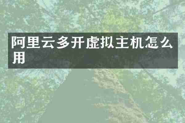 阿里云多开虚拟主机怎么用