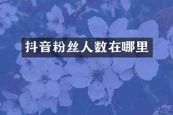 抖音粉丝人数在哪里