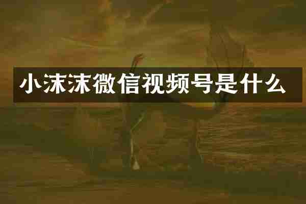 小沫沫微信视频号是什么