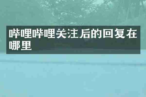 哔哩哔哩关注后的回复在哪里